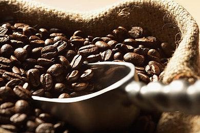 《森林》Steam新史低仅售7元 在线人数破9.7万